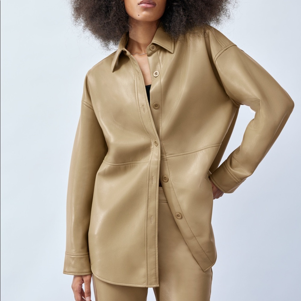 Aritzia Shirt